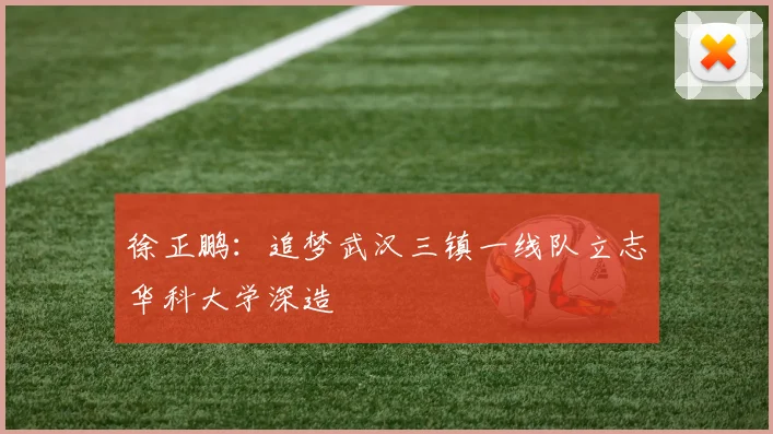 徐正鹏：追梦武汉三镇一线队立志华科大学深造